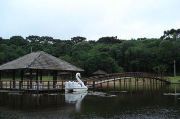 Foto - Parque das Araucárias